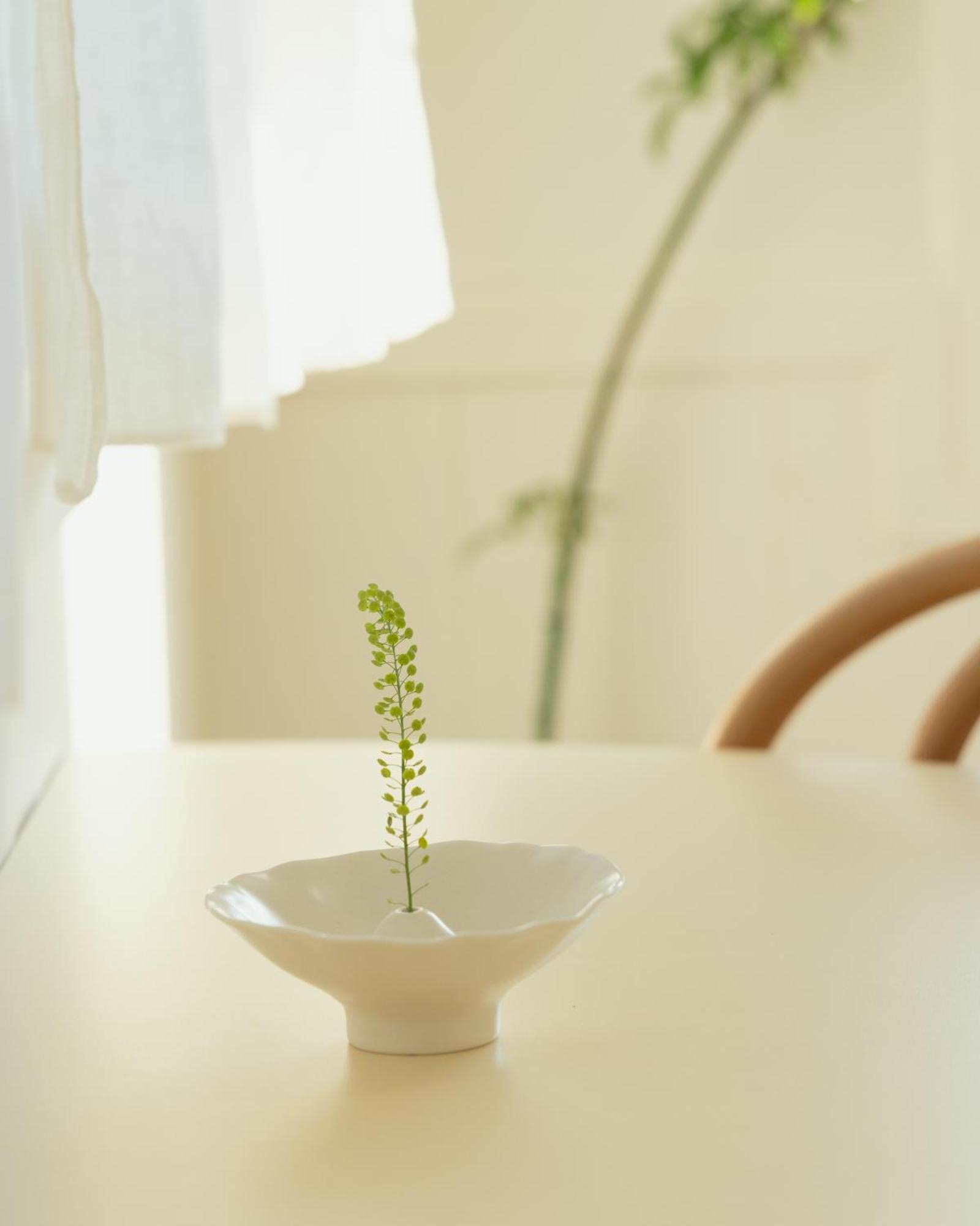 Soomhouse Renewal Open June 2024 丹阳 外观 照片